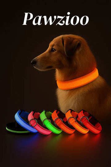 Pawzioo™ LED Dog Collar – USB Rechargeable, Adjustable & Weatherproof Night Safety Light